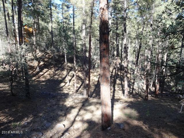 1037 N TURKEY Run, Prescott, AZ 86305