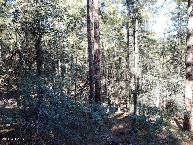 1037 N TURKEY Run, Prescott, AZ 86305