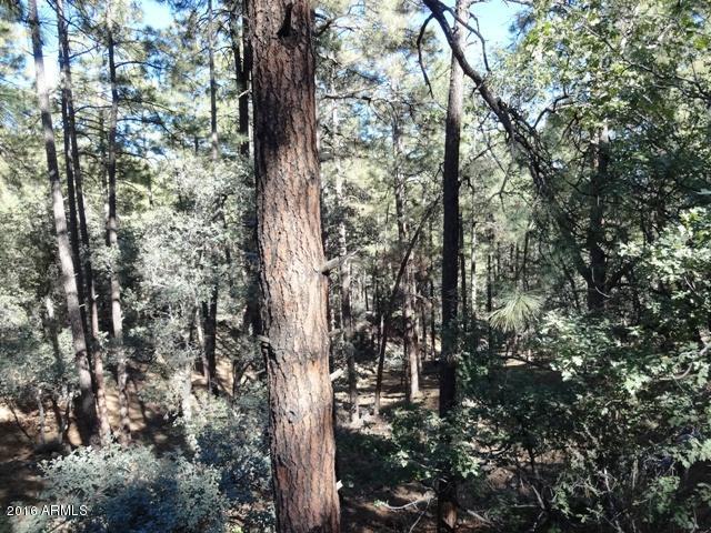 1037 N TURKEY Run, Prescott, AZ 86305