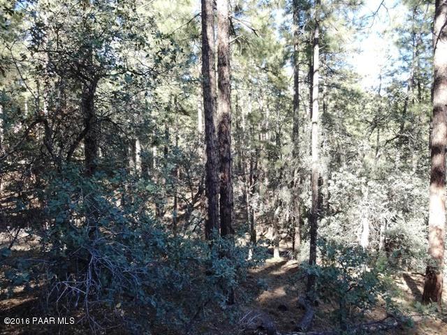 1037 N Turkey Run, Prescott, AZ 86305