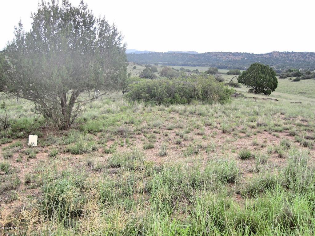 13855 N Puntenney Road, Prescott, AZ 86305