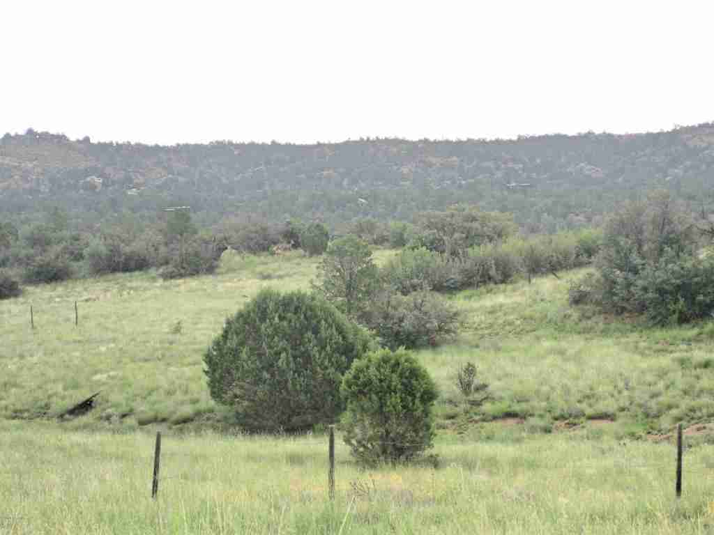 13855 N Puntenney Road, Prescott, AZ 86305
