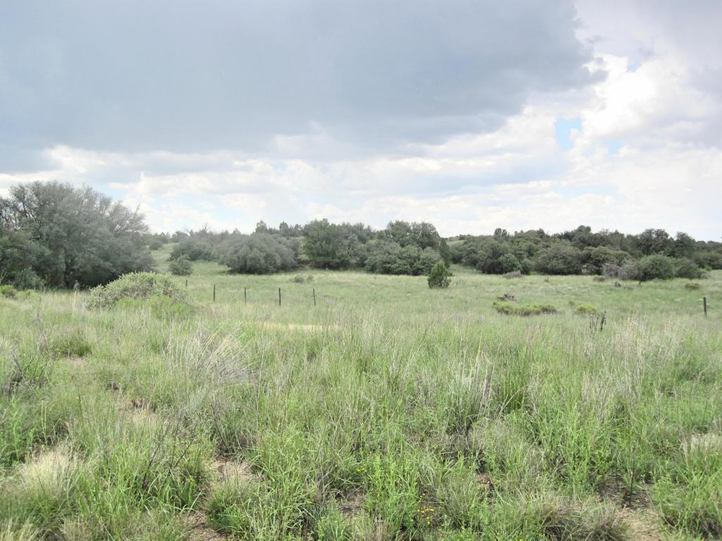 13855 N Puntenney Road, Prescott, AZ 86305