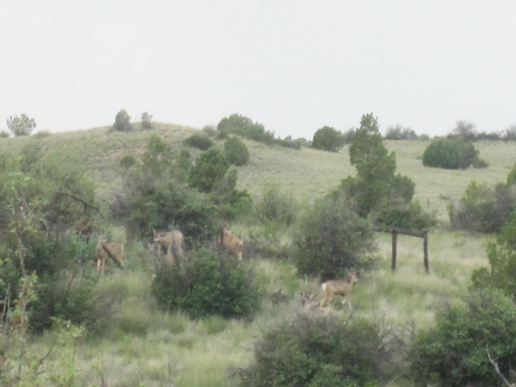 13855 N Puntenney Road, Prescott, AZ 86305