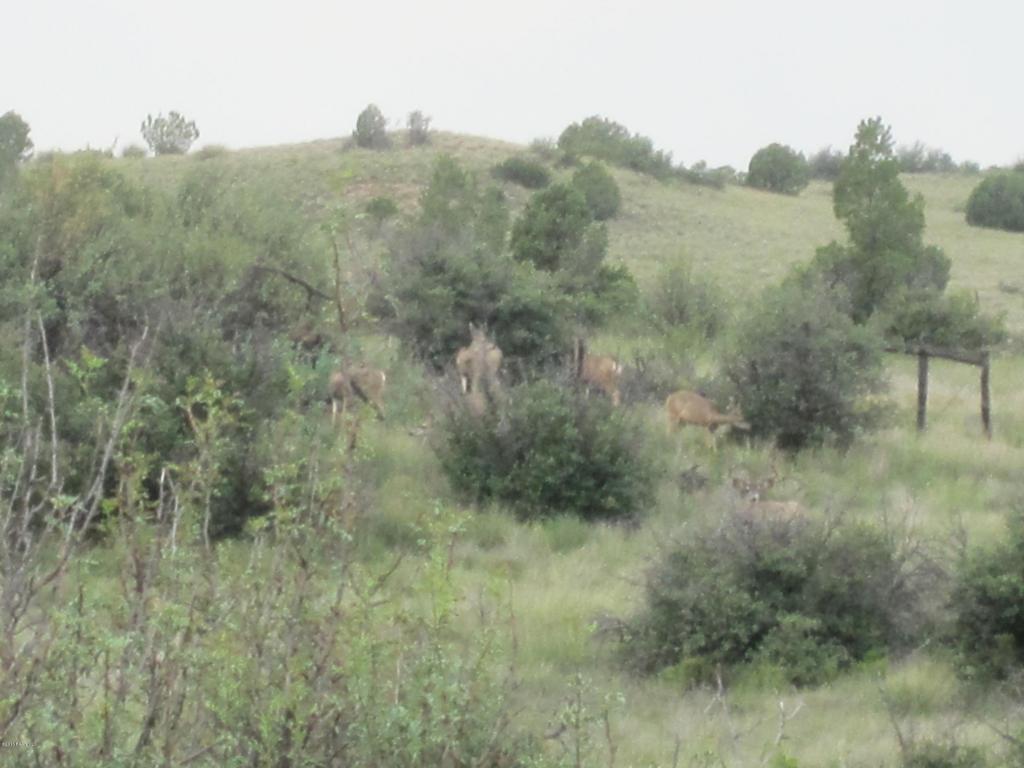 13855 N Puntenney Road, Prescott, AZ 86305
