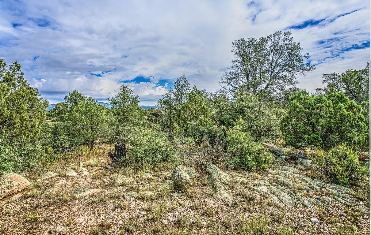 4795 Three Forks Road, Prescott, AZ 86305