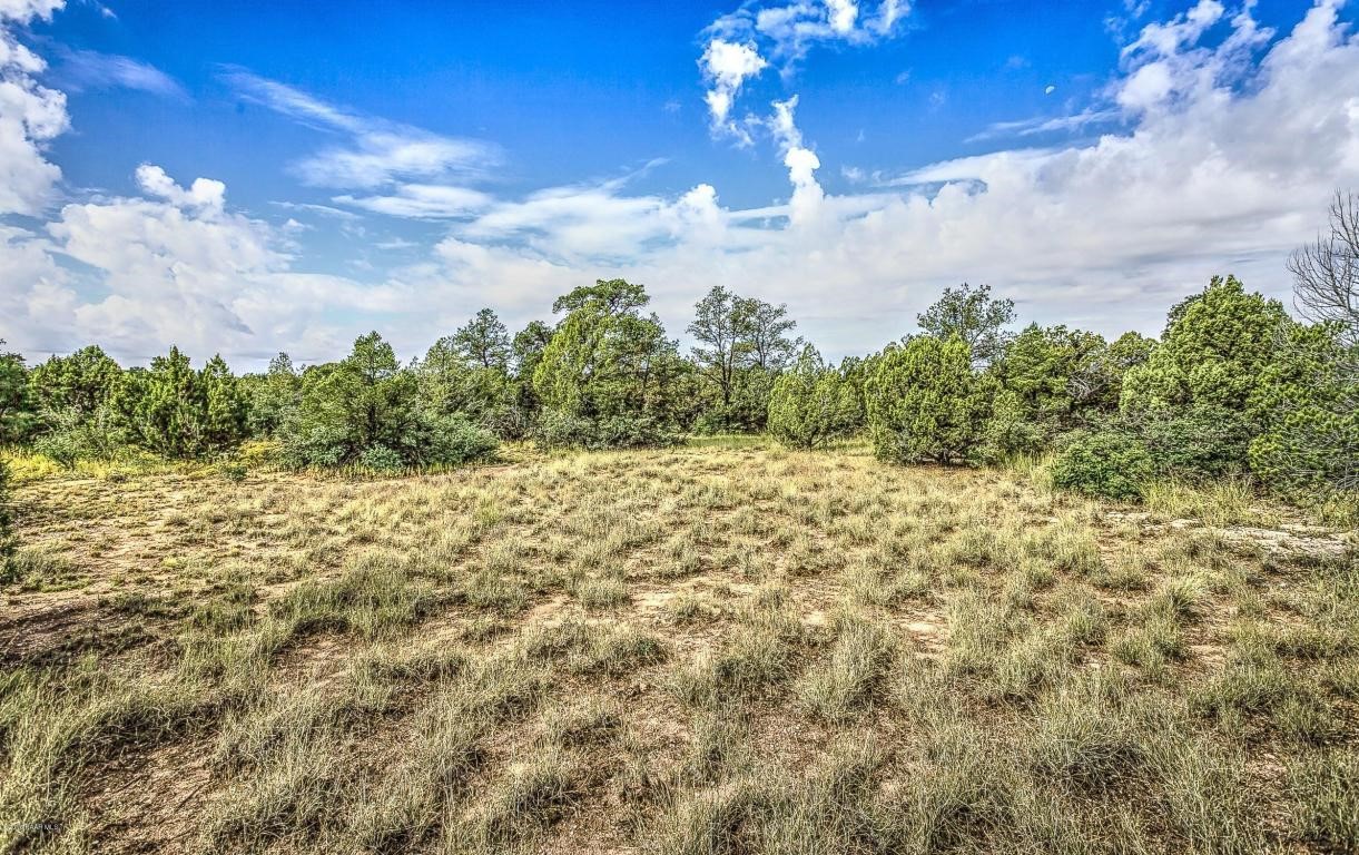 4795 Three Forks Road, Prescott, AZ 86305