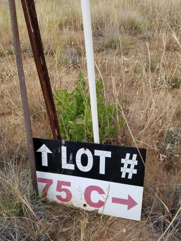 12955 N Puntenney Road, Prescott, AZ 86305