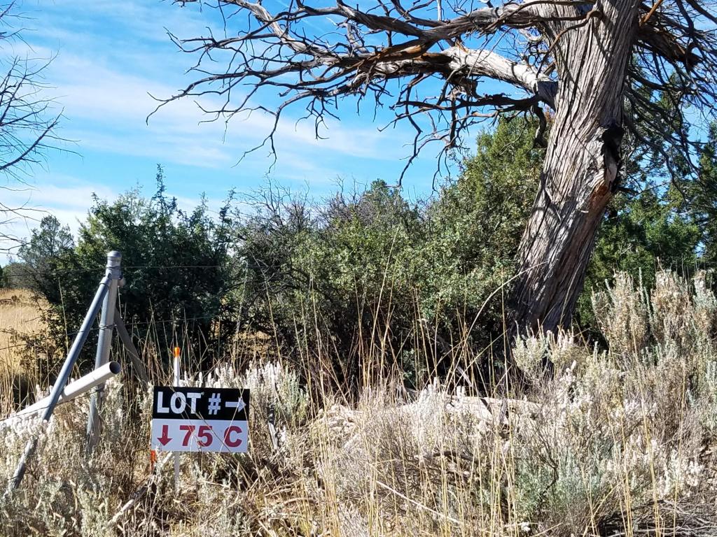 12955 N Puntenney Road, Prescott, AZ 86305