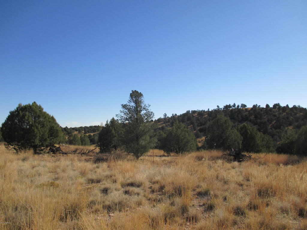 0 Rambling Road, Prescott, AZ 86305