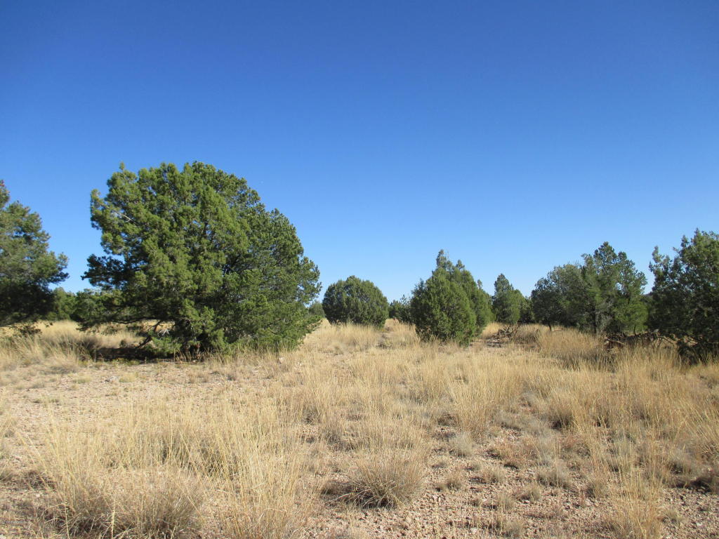 0 Rambling Road, Prescott, AZ 86305