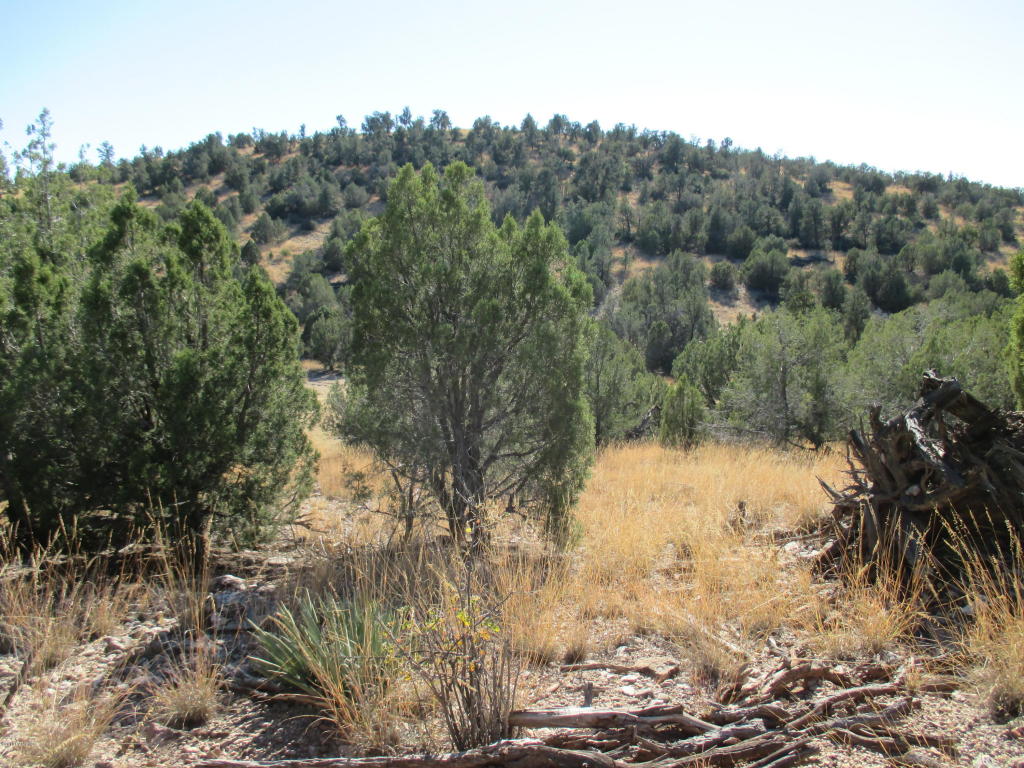 0 Rambling Road, Prescott, AZ 86305