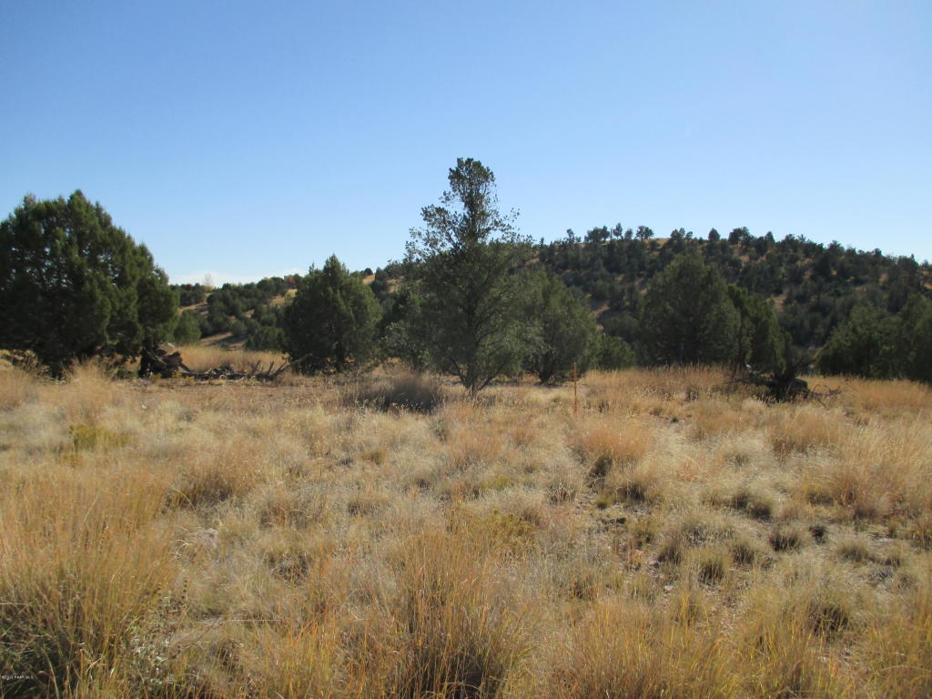 0 Rambling Road, Prescott, AZ 86305