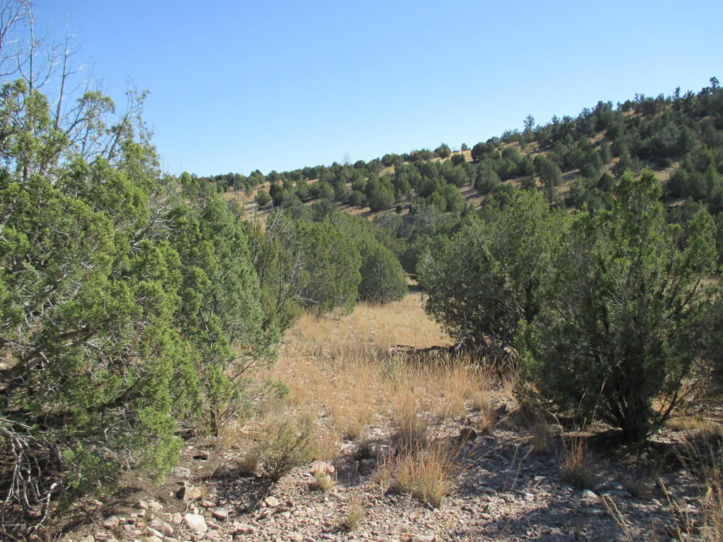 0 Rambling Road, Prescott, AZ 86305