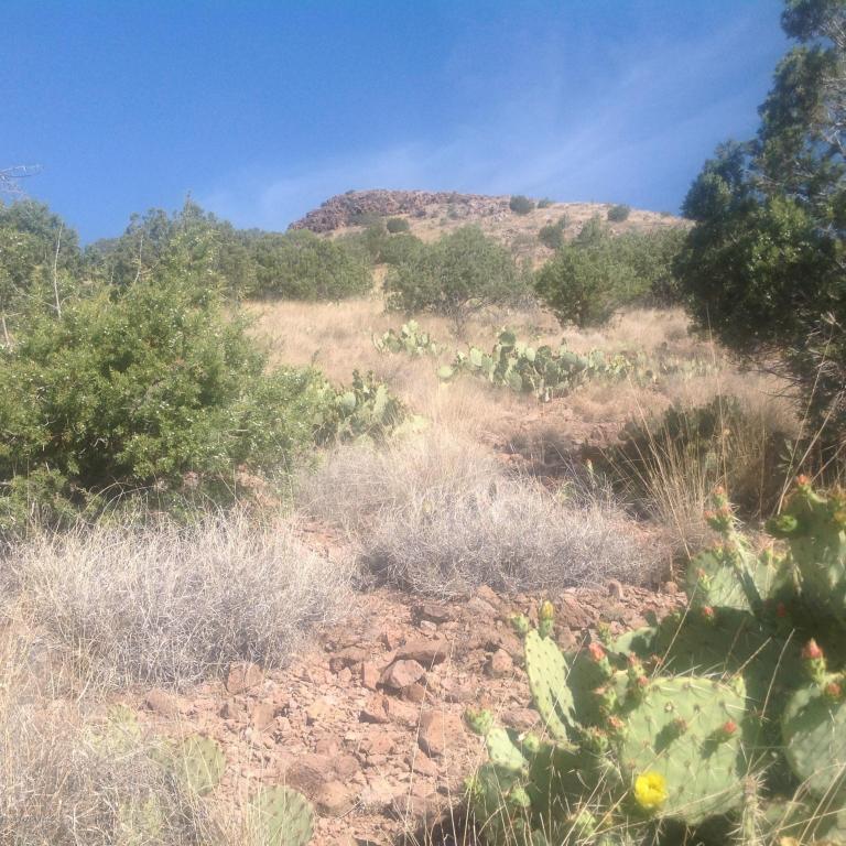 3550 N Panamint Lane, Prescott, AZ 86305