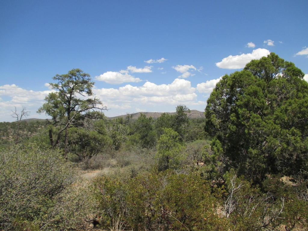 16651 N Top View Lane, Prescott, AZ 86305