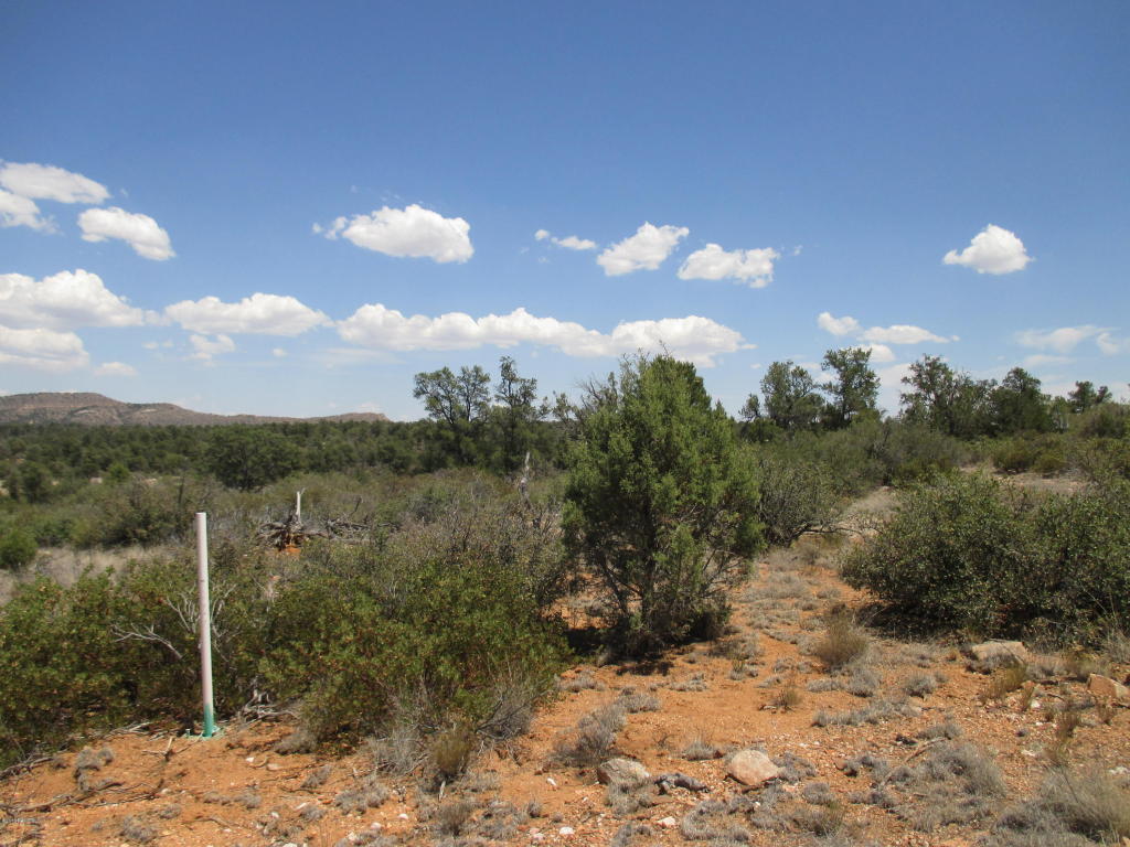 16651 N Top View Lane, Prescott, AZ 86305