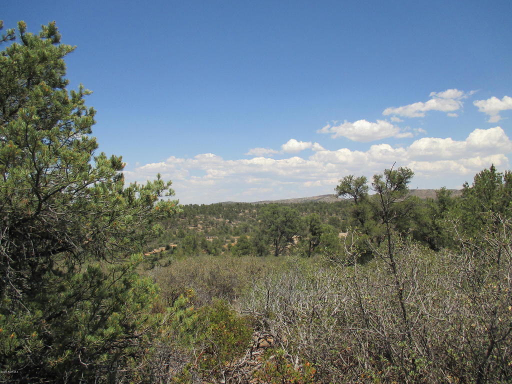 16651 N Top View Lane, Prescott, AZ 86305