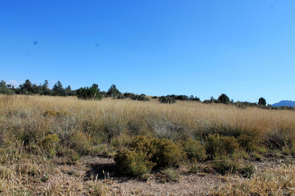 4245 W Chuckwalla Road, Prescott, AZ 86305