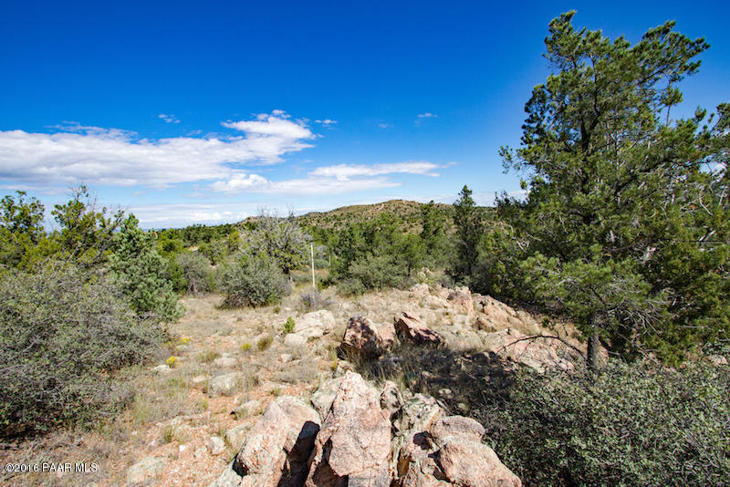 15225 N Long View Lane, Prescott, AZ 86305