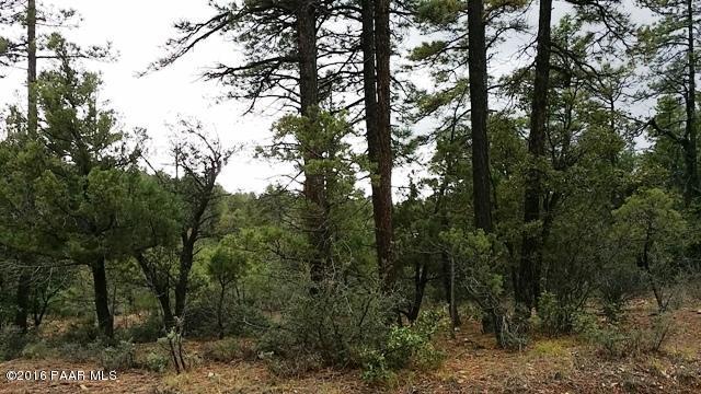 1470 N Skyline Drive, Prescott, AZ 86305