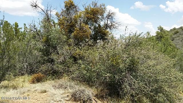 1470 N Skyline Drive, Prescott, AZ 86305