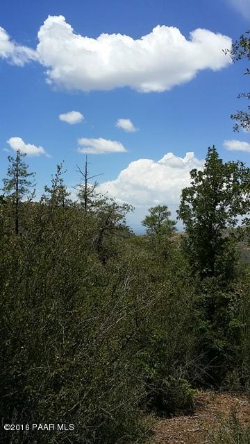 1470 N Skyline Drive, Prescott, AZ 86305