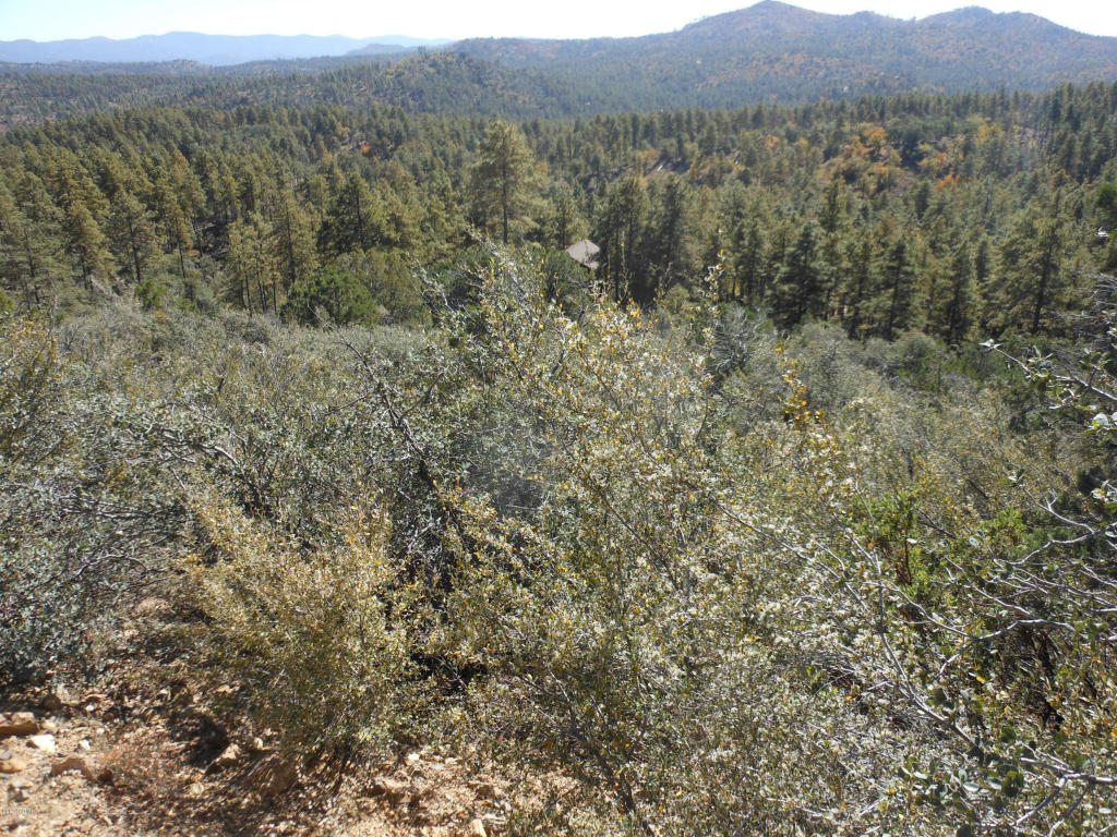 753 N Valley View Drive, Prescott, AZ 86305