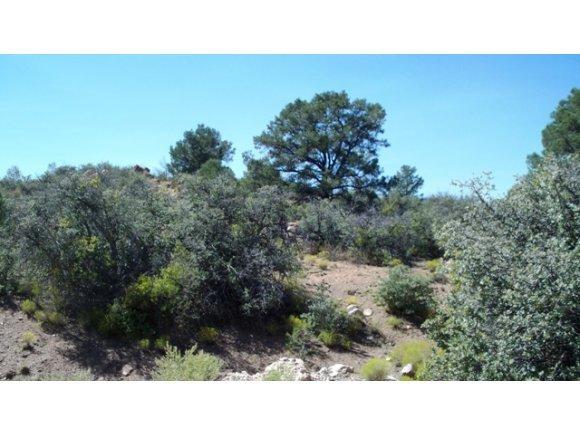 0  W SARAH Drive, Prescott, AZ 86305