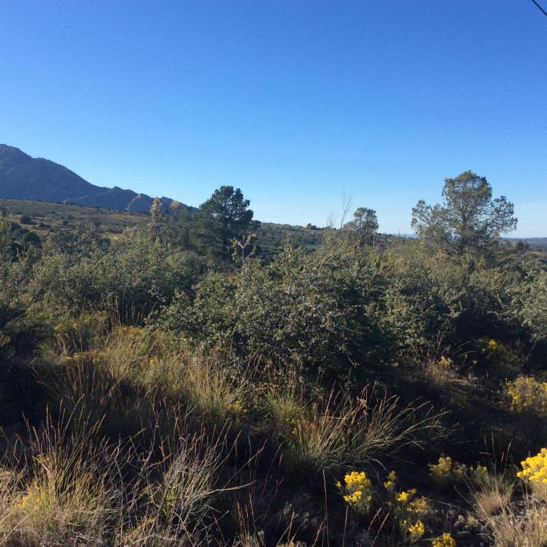 1740 W Buena Vista Trail, Prescott, AZ 86305