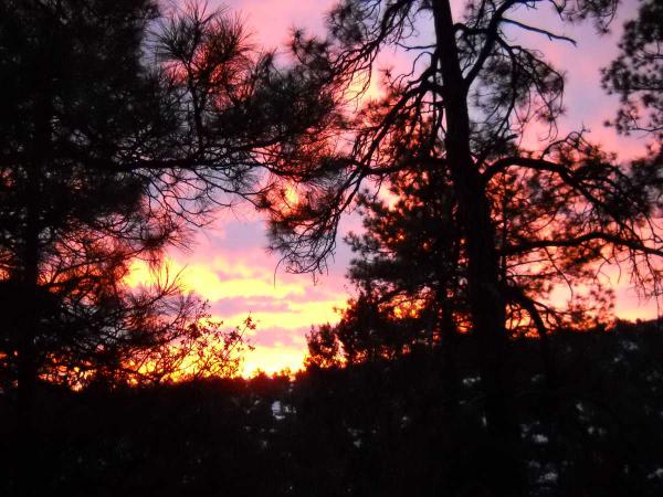Pine Lakes186 Oxbow stPrescott, AZ 86305