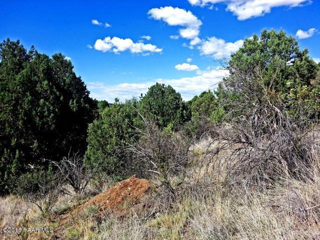 2895 N Tolemac Way, Prescott, AZ 86305