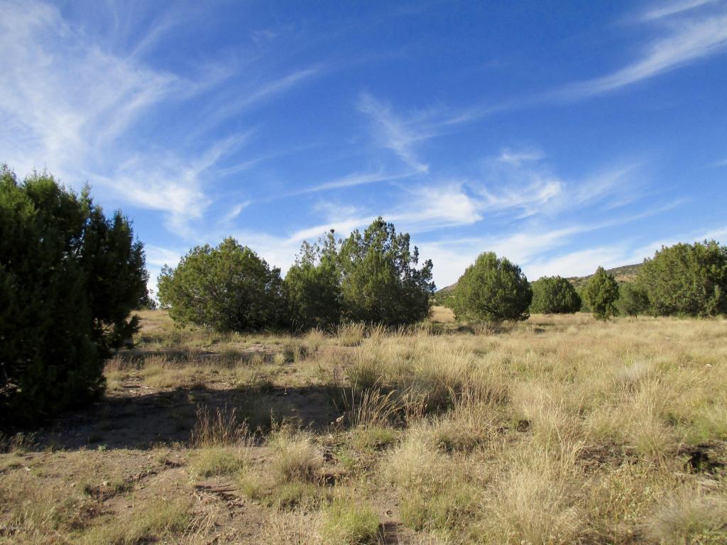 5011 W Dillon Wash Road, Prescott, AZ 86305