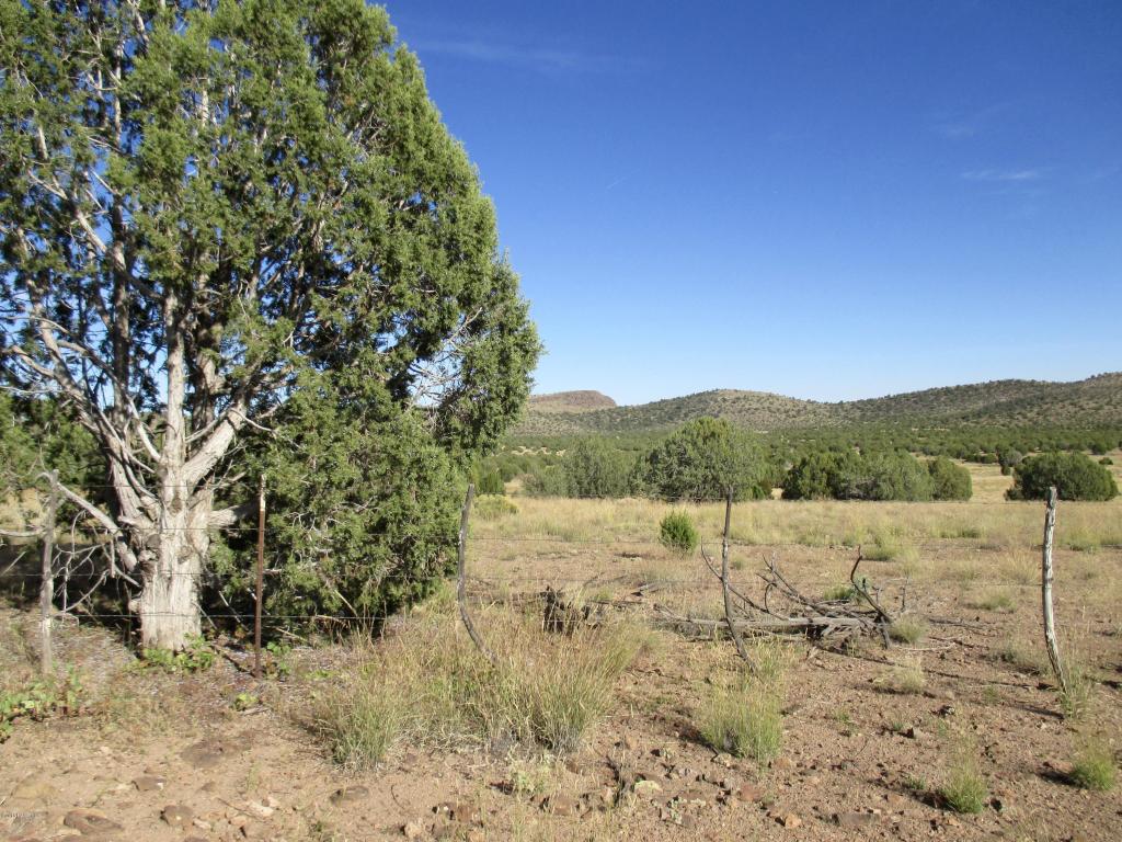 5011 W Dillon Wash Road, Prescott, AZ 86305