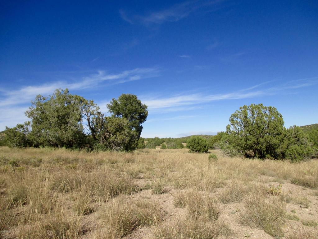 5011 W Dillon Wash Road, Prescott, AZ 86305