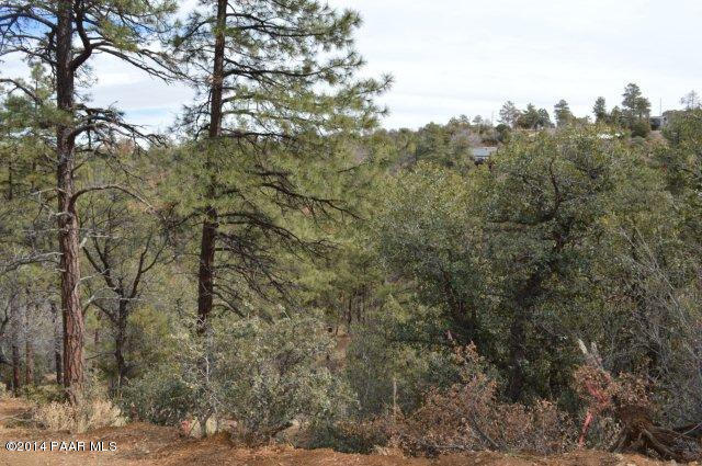 1516 N Holly Drive, Prescott, AZ 86305