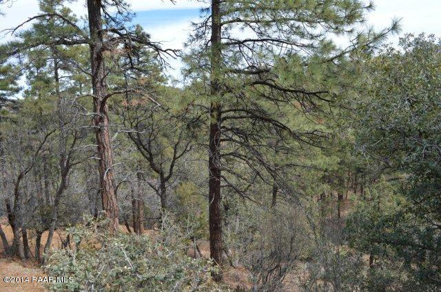 1516 N Holly Drive, Prescott, AZ 86305