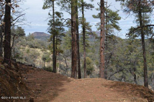 1516 N Holly Drive, Prescott, AZ 86305