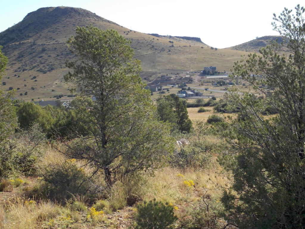 4500 ? W Cielo Poco Drive, Prescott, AZ 86305