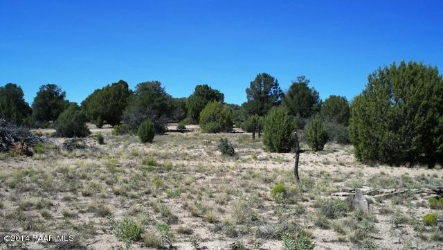 0  W SARAH Drive, Prescott, AZ 86305