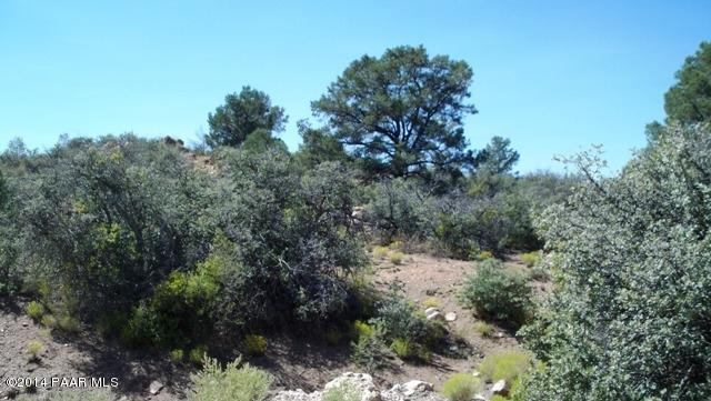 0  W SARAH Drive, Prescott, AZ 86305