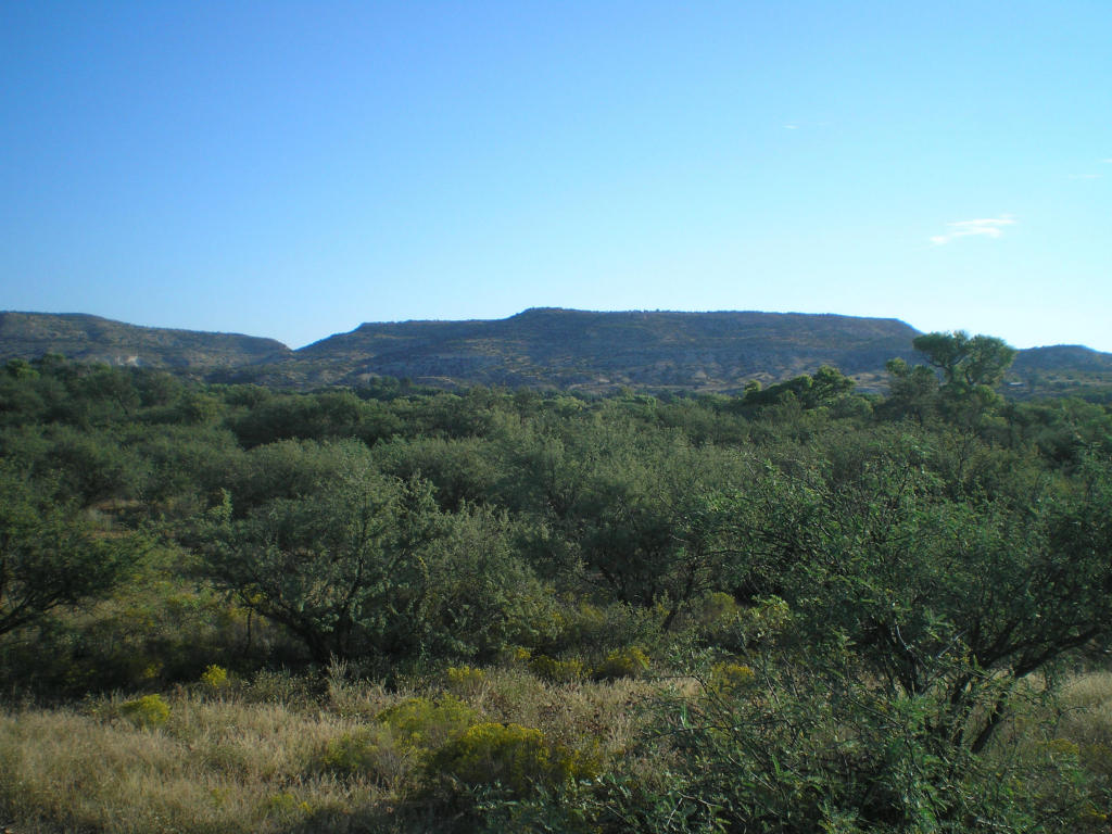 3847 N Dalton Gang Rd, Camp Verde, AZ 86322