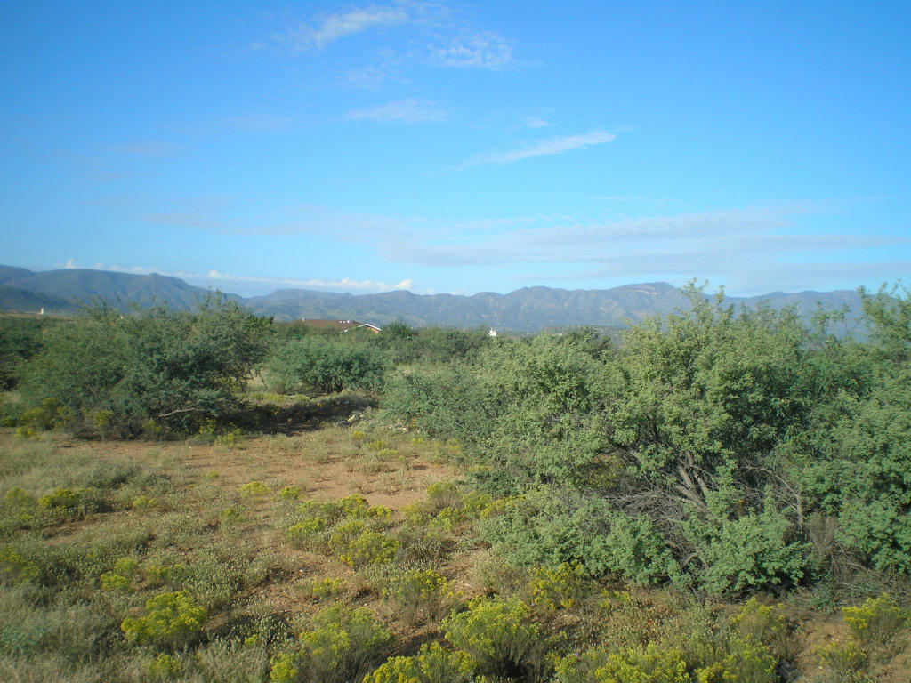3847 N Dalton Gang Rd, Camp Verde, AZ 86322