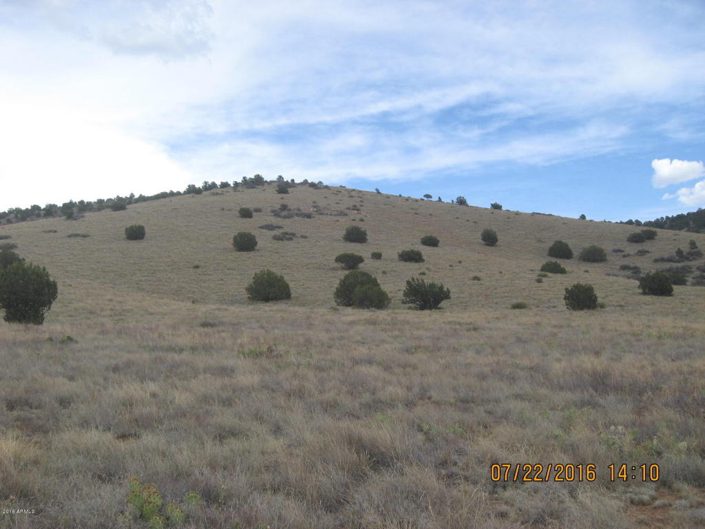 000 E Perkinsville Road, Chino Valley, AZ 86323