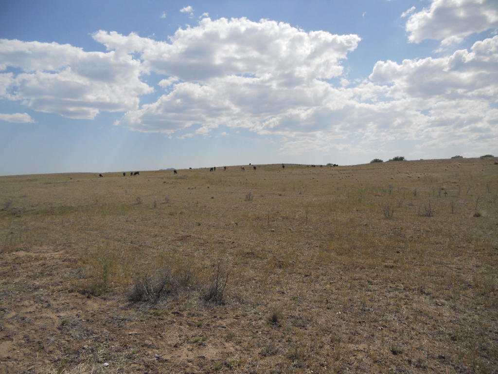 0 E Salida Del Sol-306-18-011l, Chino Valley, AZ 86323