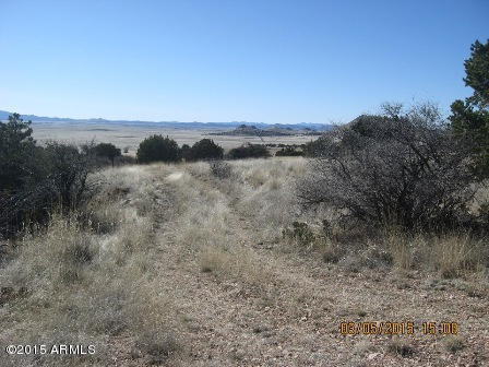 0 E Perkinsville Road, Chino Valley, AZ 86323