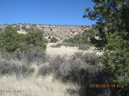 0 E Perkinsville Road, Chino Valley, AZ 86323