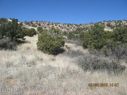 0 E Perkinsville Road, Chino Valley, AZ 86323