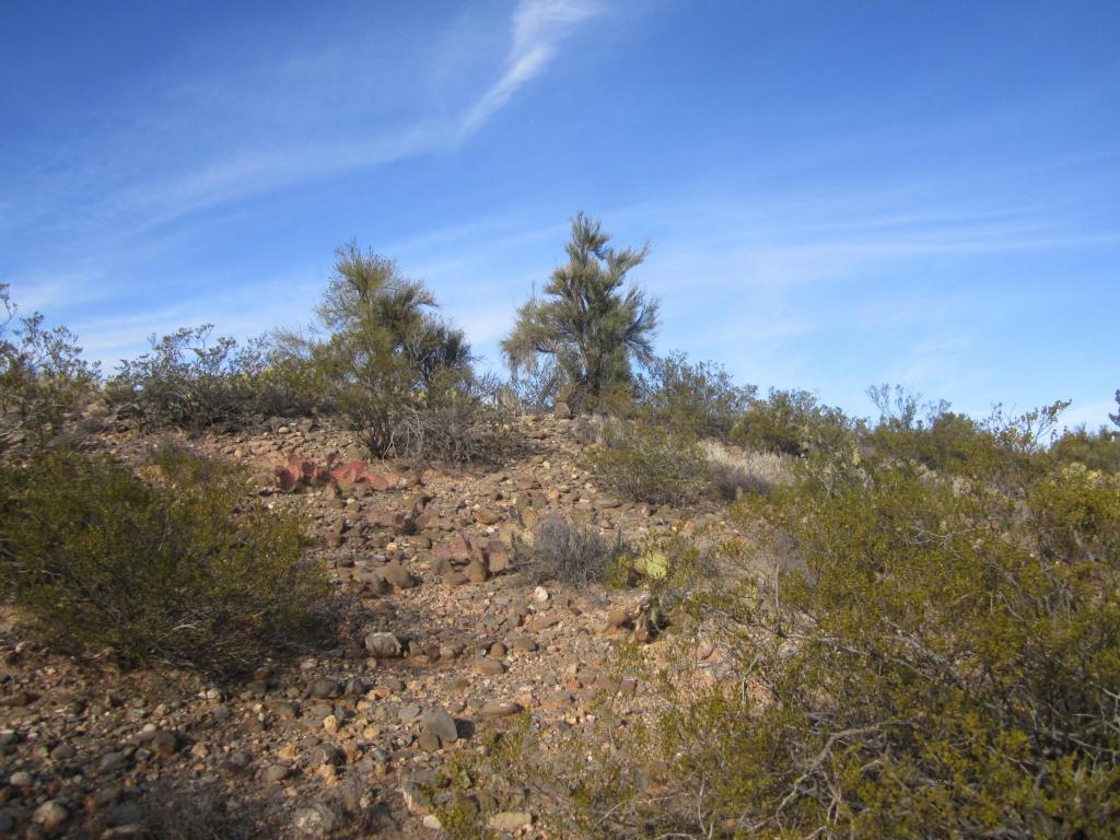 1680 S Mountain View Rd, Cornville, AZ 86325