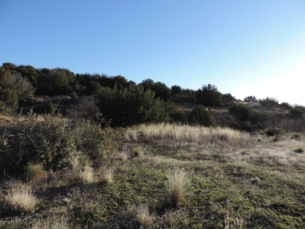 Off Quail Springs Ranch Road, Cottonwood, AZ 86326